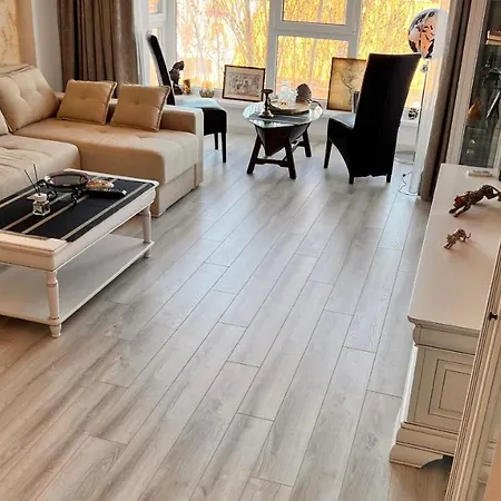 Reyna Beach Front Luxury 康斯坦察
